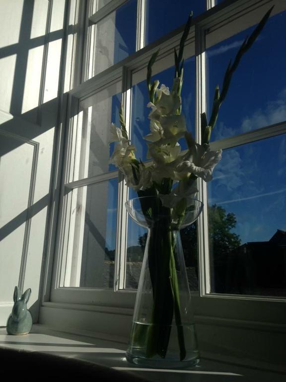 Lanercost Country B&B Brampton  Ngoại thất bức ảnh