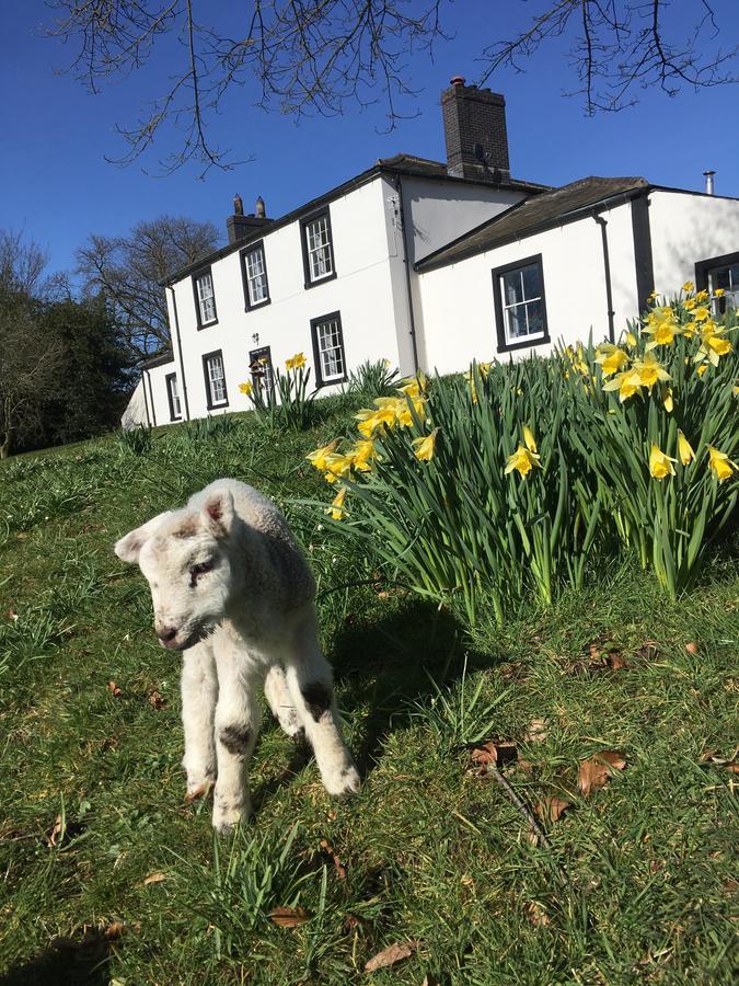 Lanercost Country B&B Brampton  Ngoại thất bức ảnh